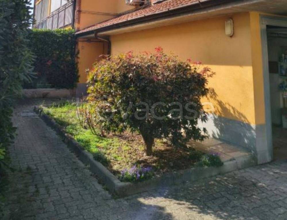 immagine annuncio 3 di 11