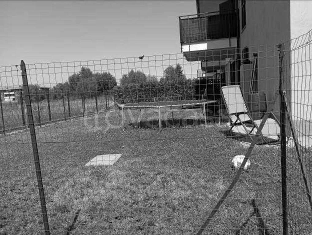 immagine annuncio 9 di 11