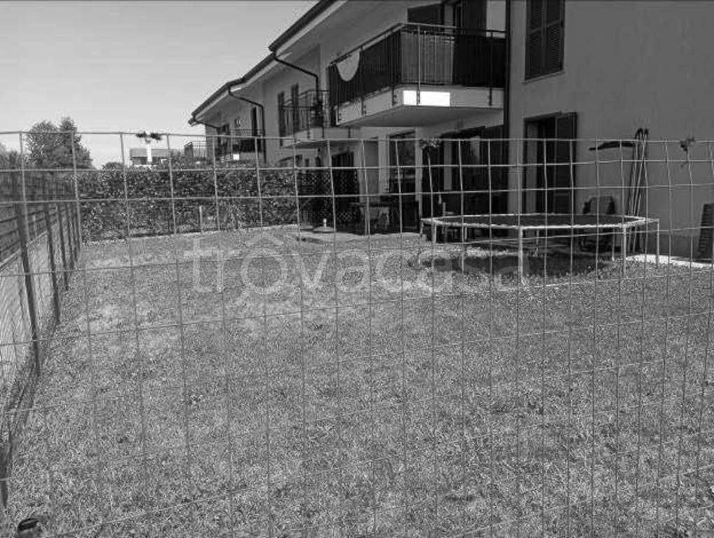 immagine annuncio 10 di 11