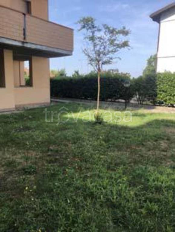 immagine annuncio 11 di 13