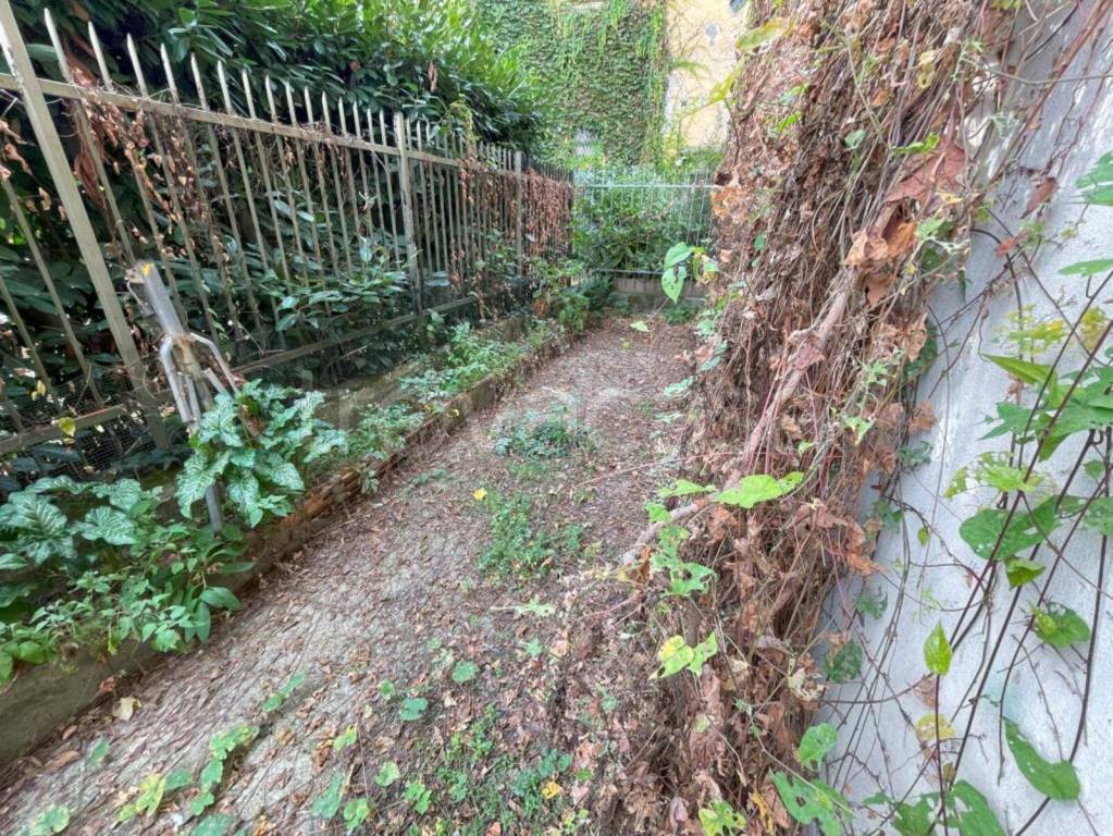 immagine annuncio 7 di 12