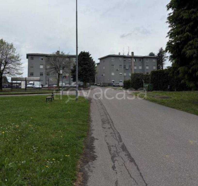 immagine annuncio 3 di 11