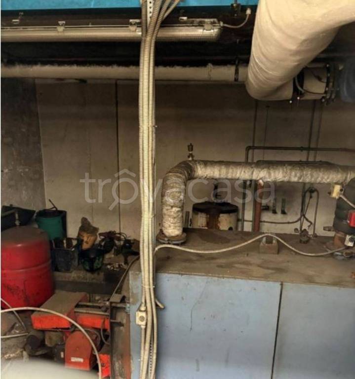 immagine annuncio 5 di 11