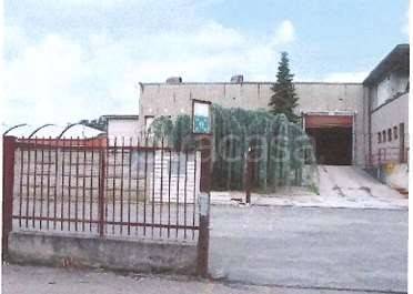 immagine annuncio 1 di 4