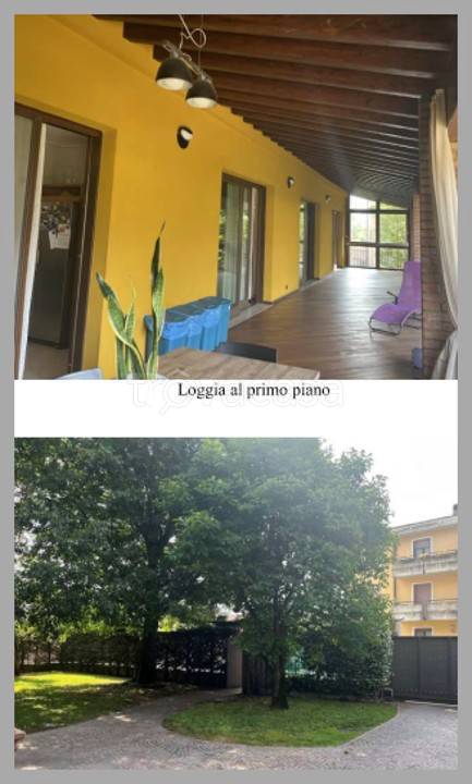 immagine annuncio 11 di 15