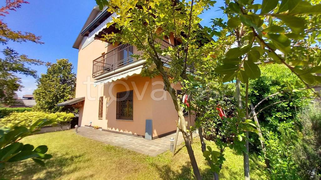 immagine annuncio 4 di 7