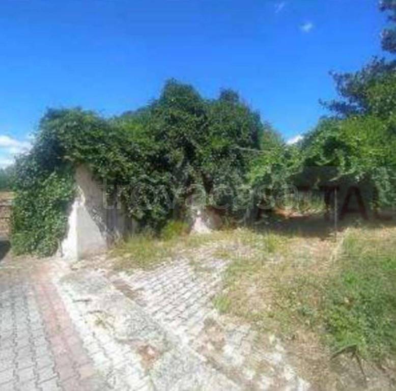 immagine annuncio 5 di 12