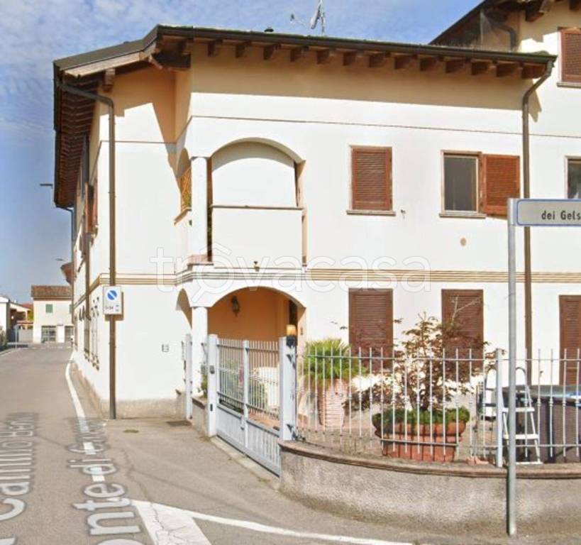 immagine annuncio 3 di 12