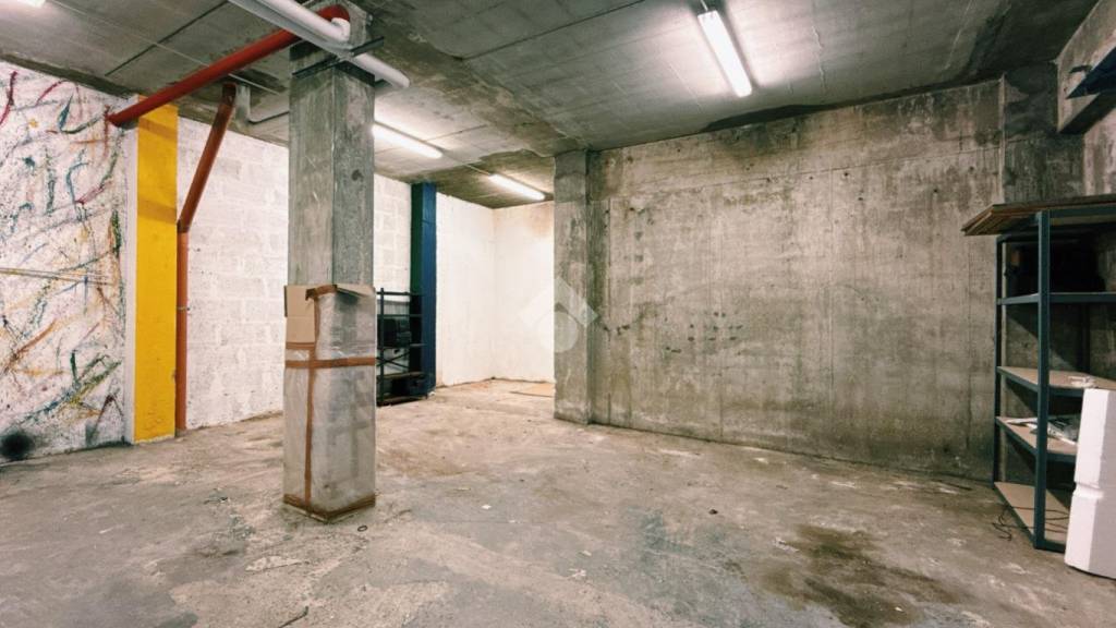 immagine annuncio 12 di 13