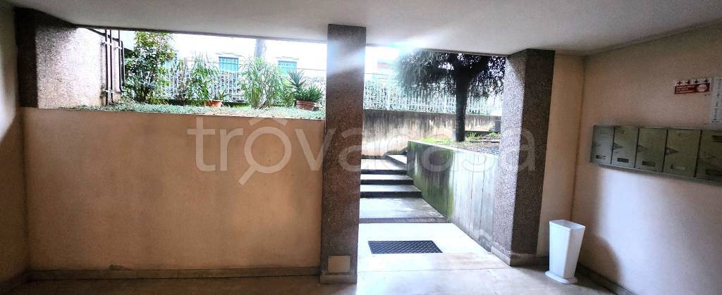 immagine annuncio 12 di 14