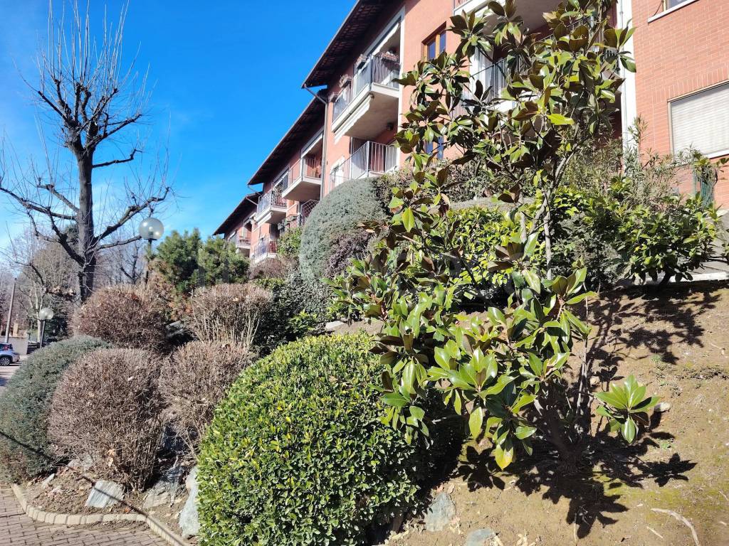 immagine annuncio 1 di 15