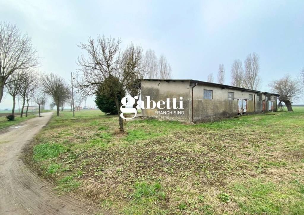 immagine annuncio 1 di 2