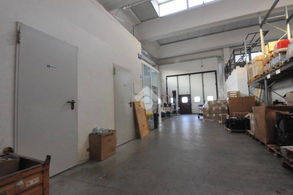 immagine annuncio 2 di 15