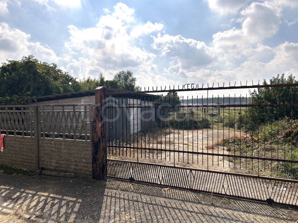 immagine annuncio 2 di 3