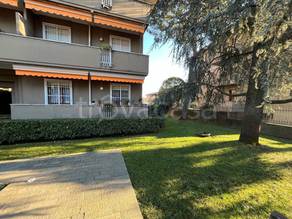 immagine annuncio 3 di 15