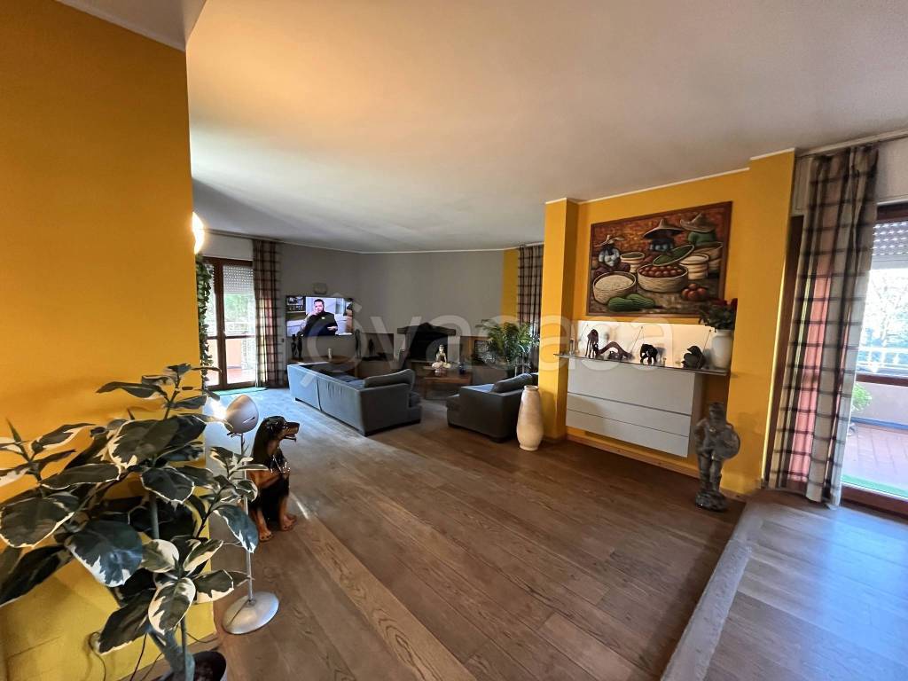 immagine annuncio 9 di 15