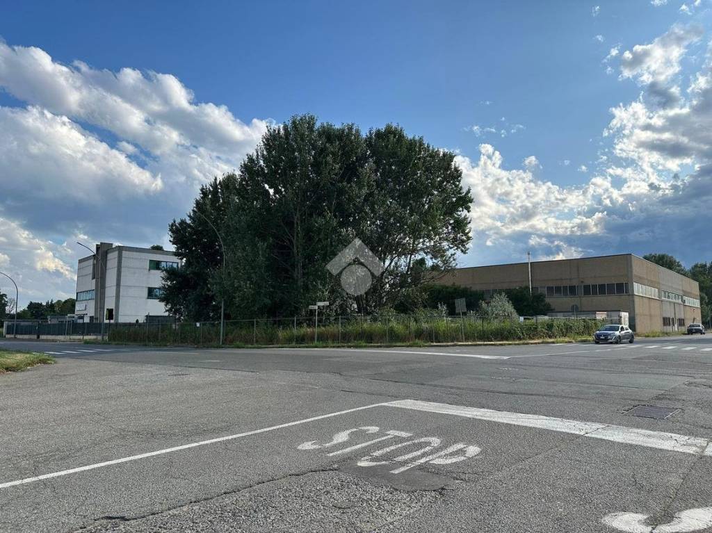 immagine annuncio 10 di 13