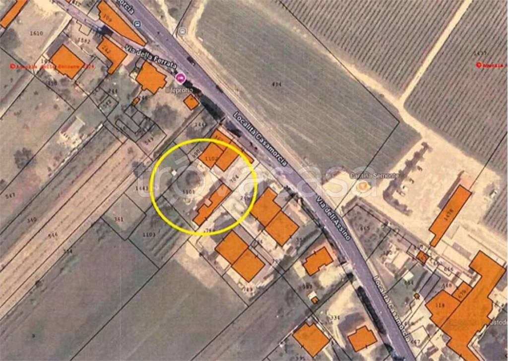 immagine annuncio 6 di 15