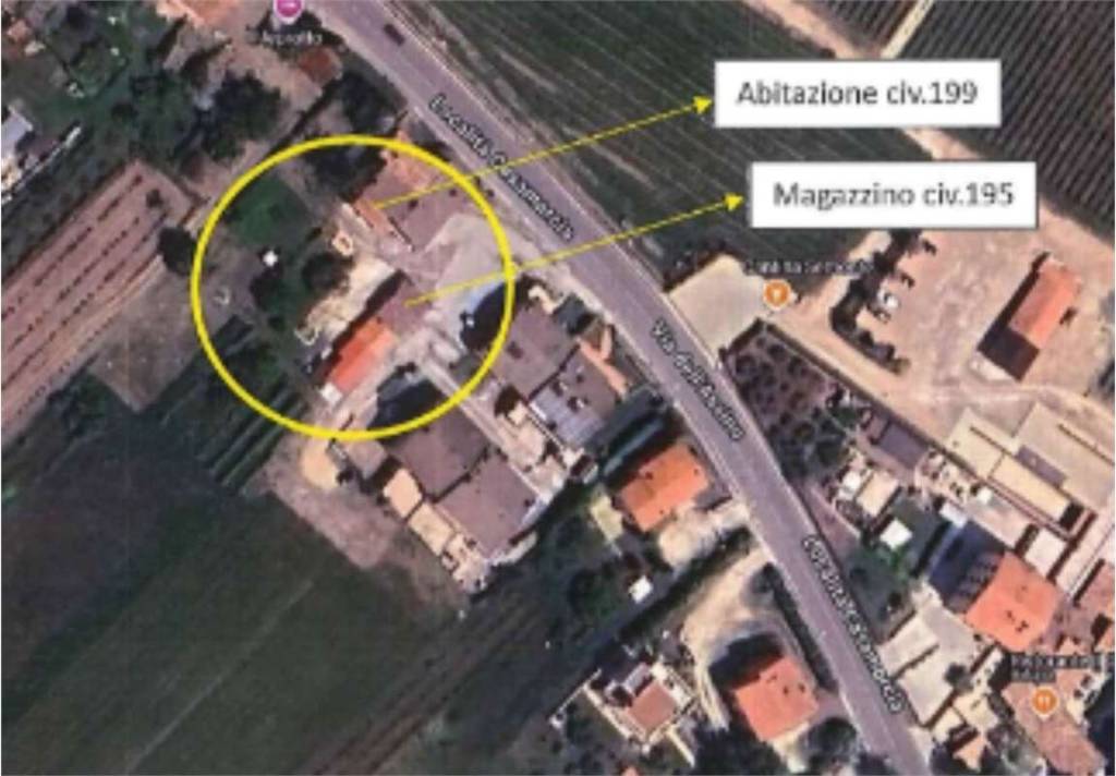 immagine annuncio 9 di 15