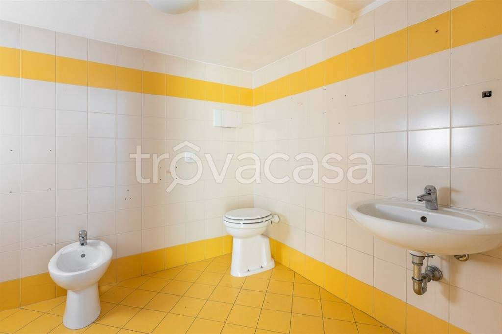 immagine annuncio 10 di 14