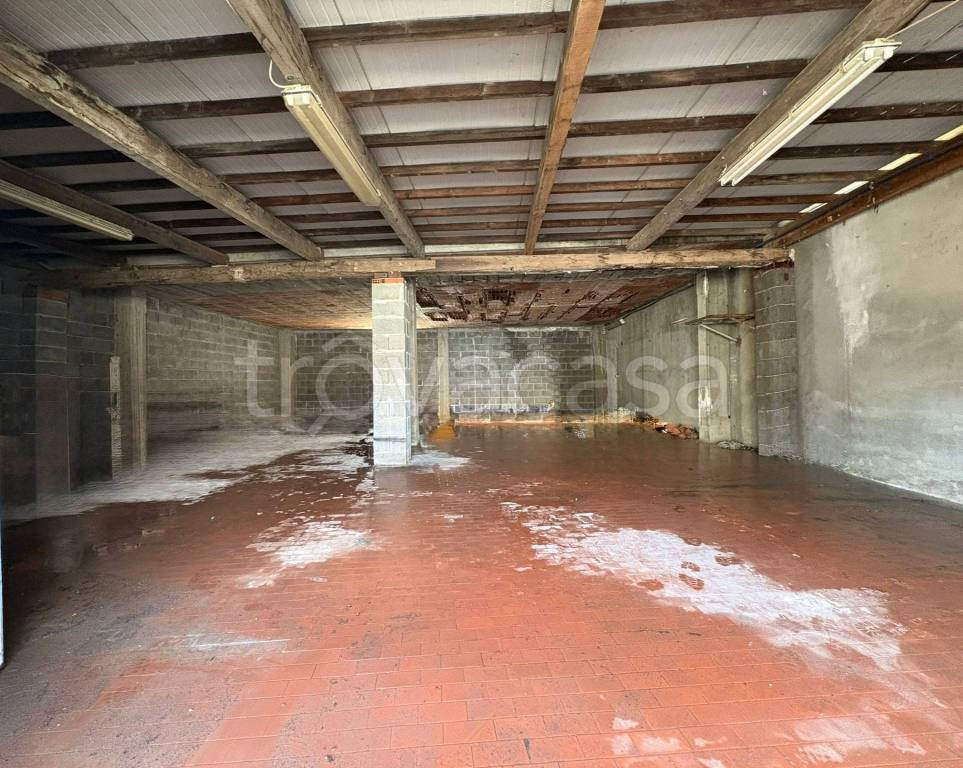 immagine annuncio 6 di 11