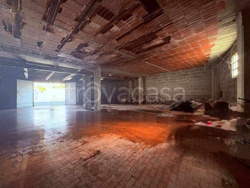 immagine annuncio 10 di 11