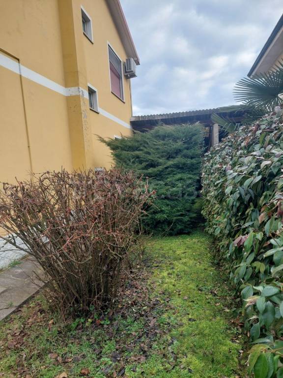 immagine annuncio 2 di 6