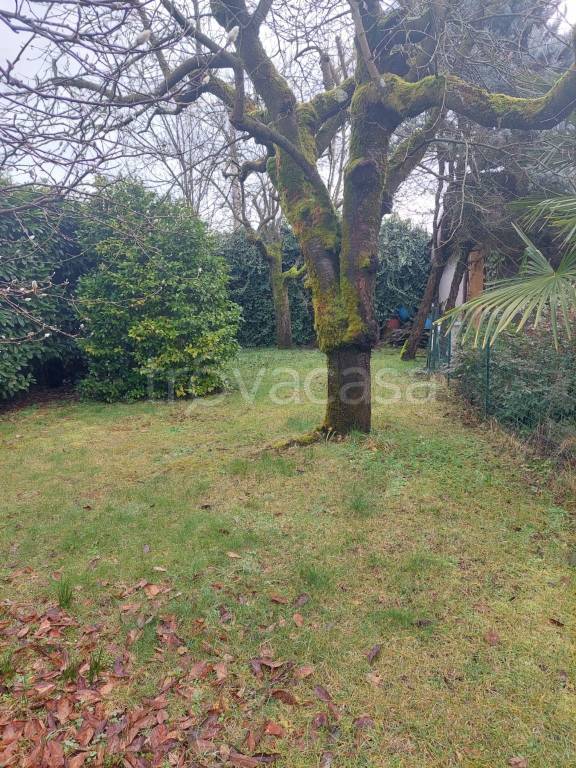 immagine annuncio 5 di 6