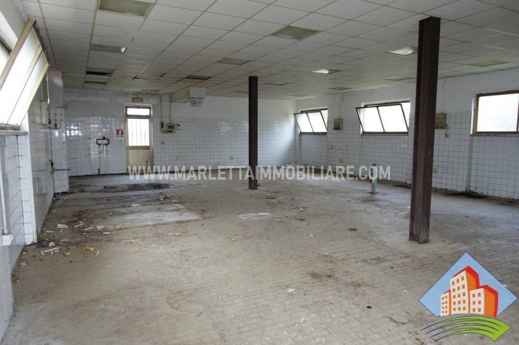 immagine annuncio 8 di 11