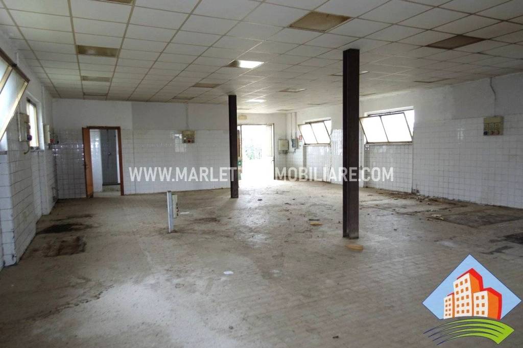 immagine annuncio 5 di 11