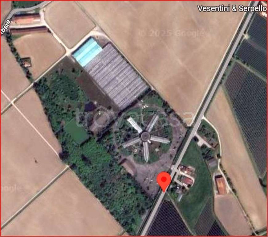 immagine annuncio 3 di 12