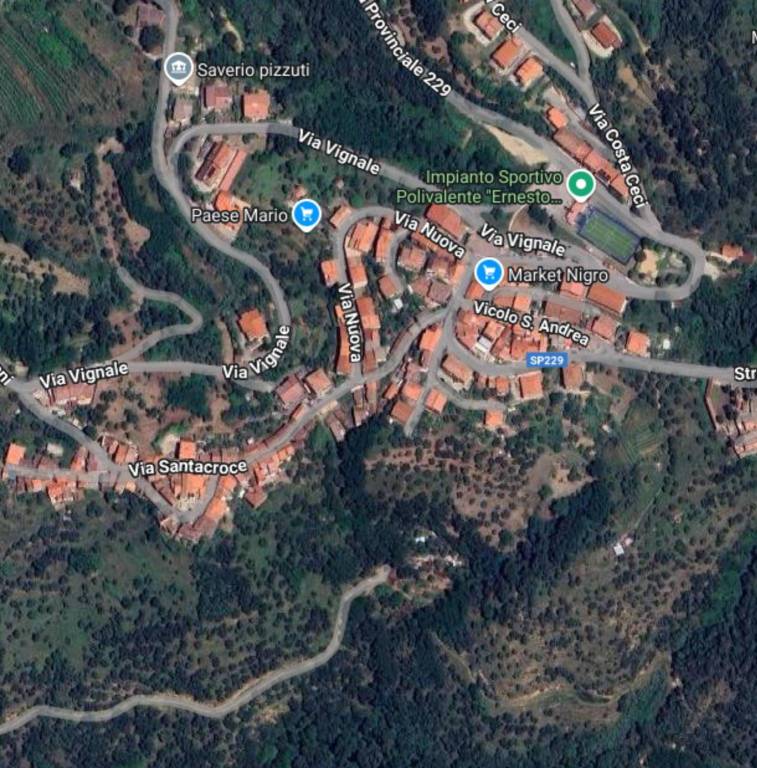 immagine annuncio 9 di 12