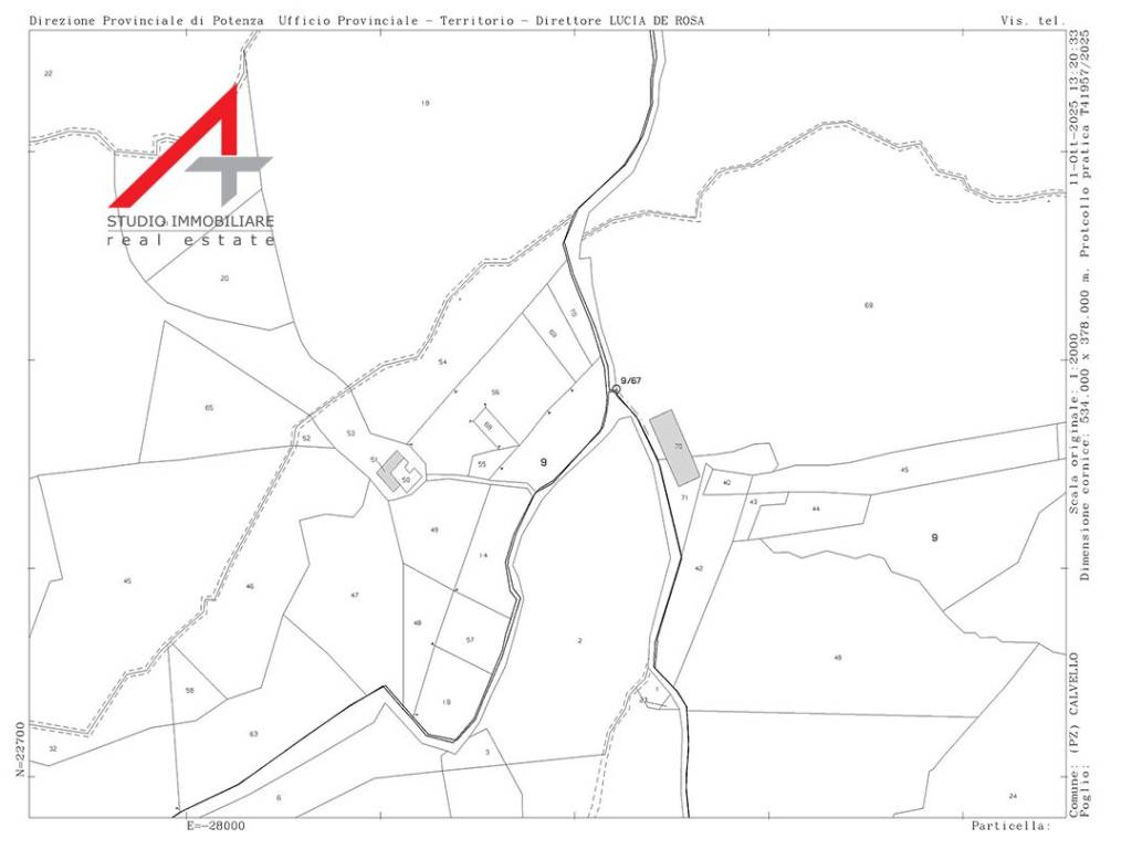 immagine annuncio 14 di 15