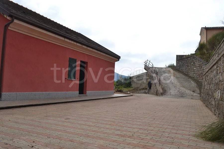 immagine annuncio 4 di 13