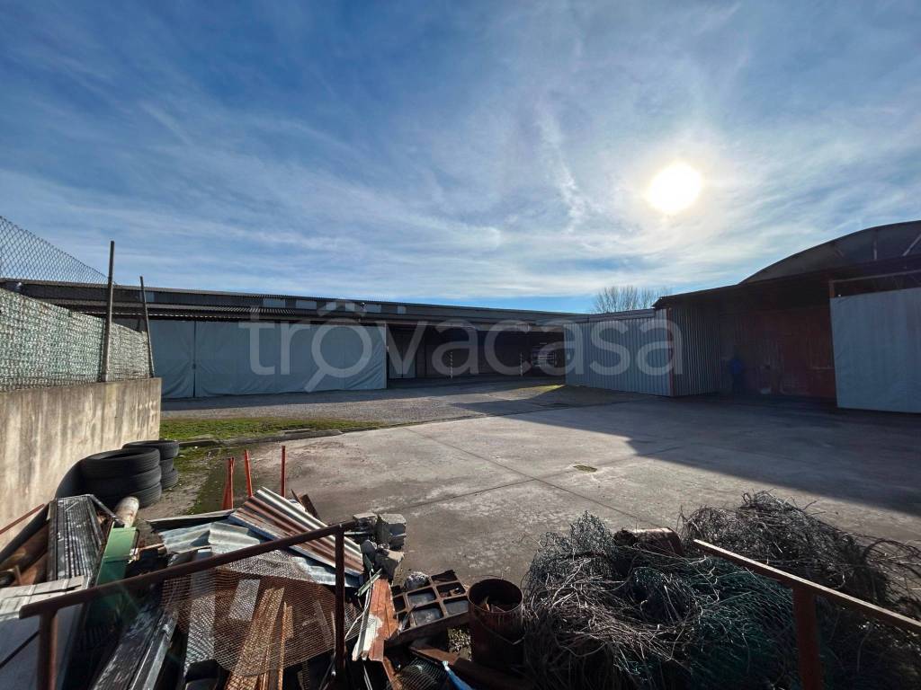 immagine annuncio 2 di 12