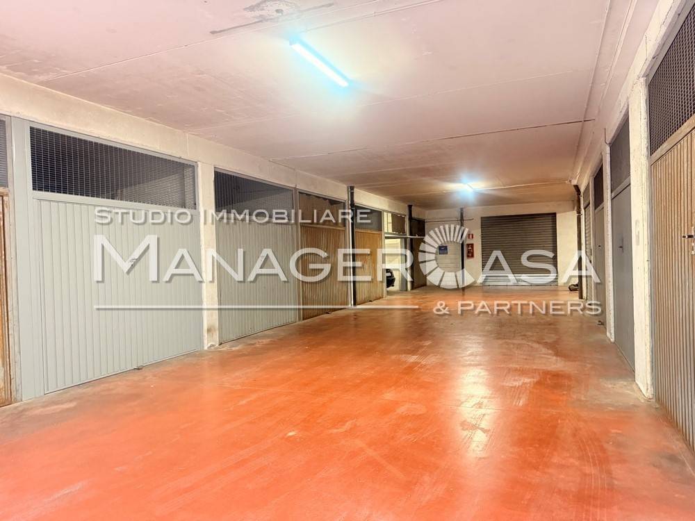 immagine annuncio 11 di 14