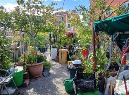 immagine annuncio 3 di 12