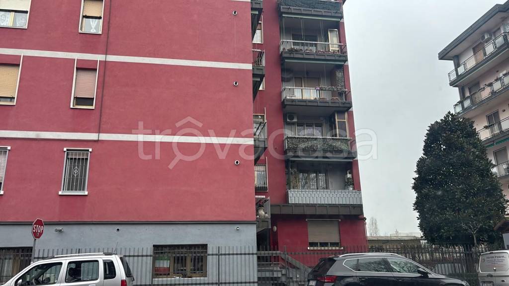 immagine annuncio 10 di 11