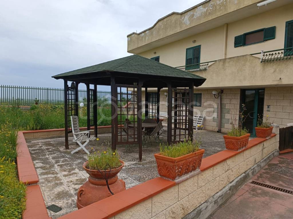 immagine annuncio 4 di 12