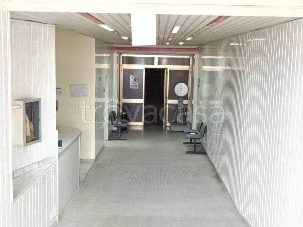 immagine annuncio 5 di 12