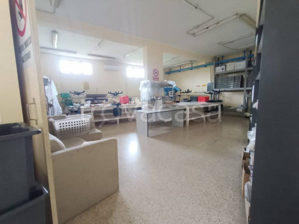 immagine annuncio 6 di 12