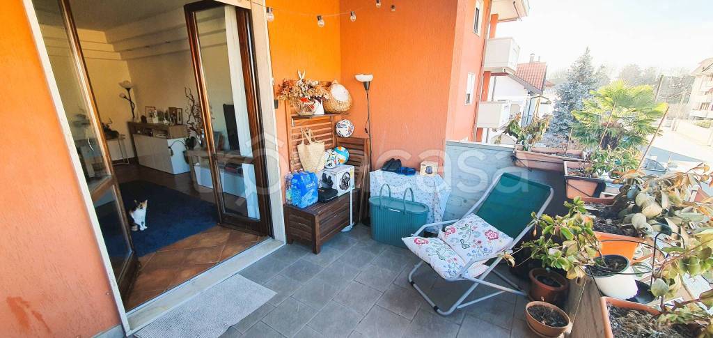 immagine annuncio 11 di 15