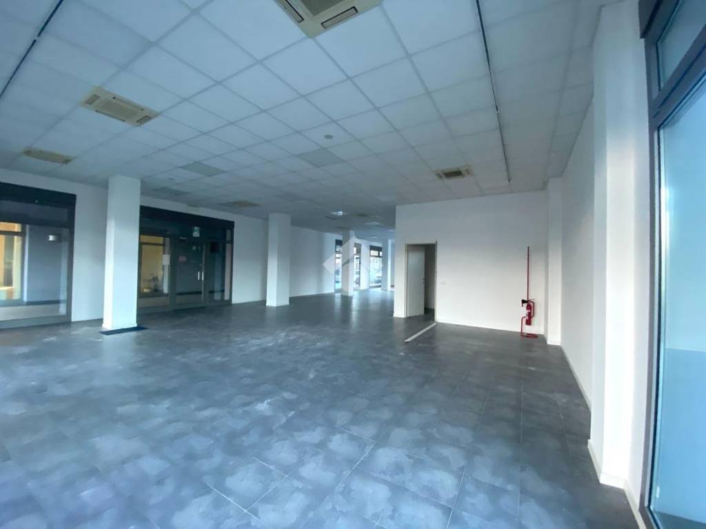 immagine annuncio 4 di 12