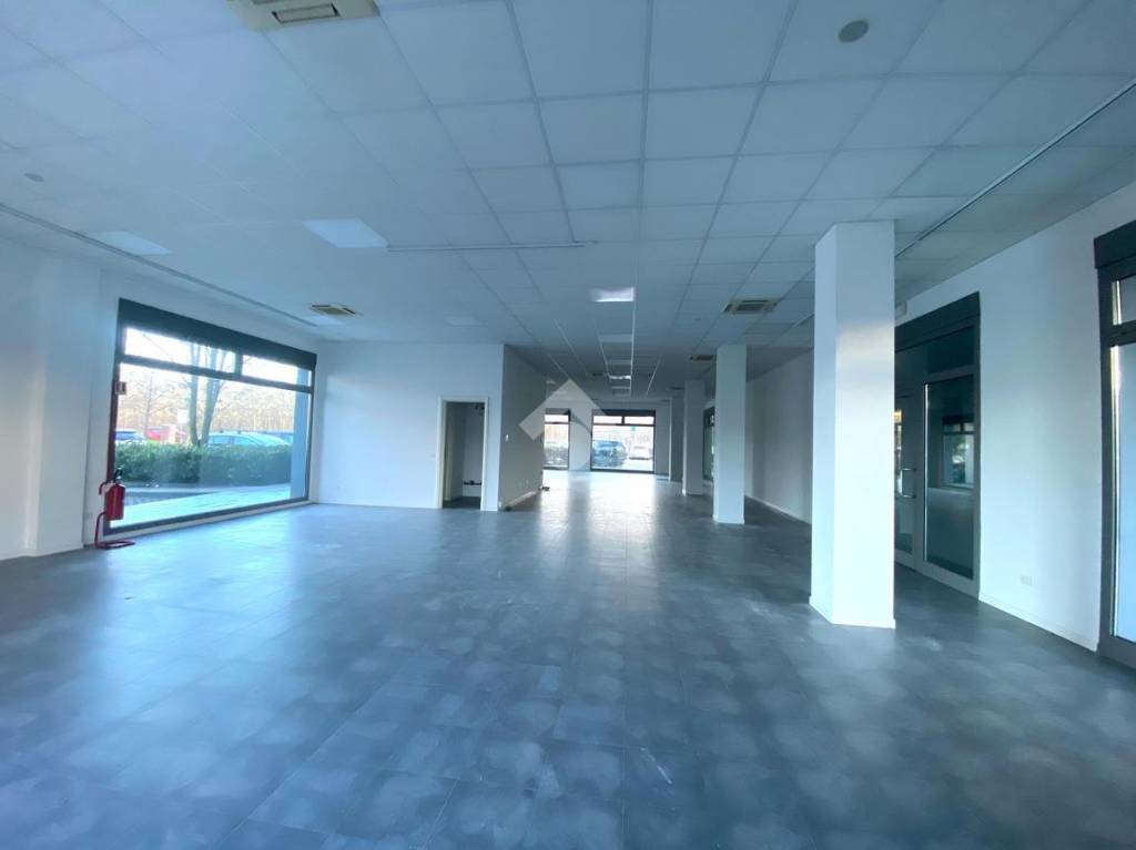 immagine annuncio 9 di 12