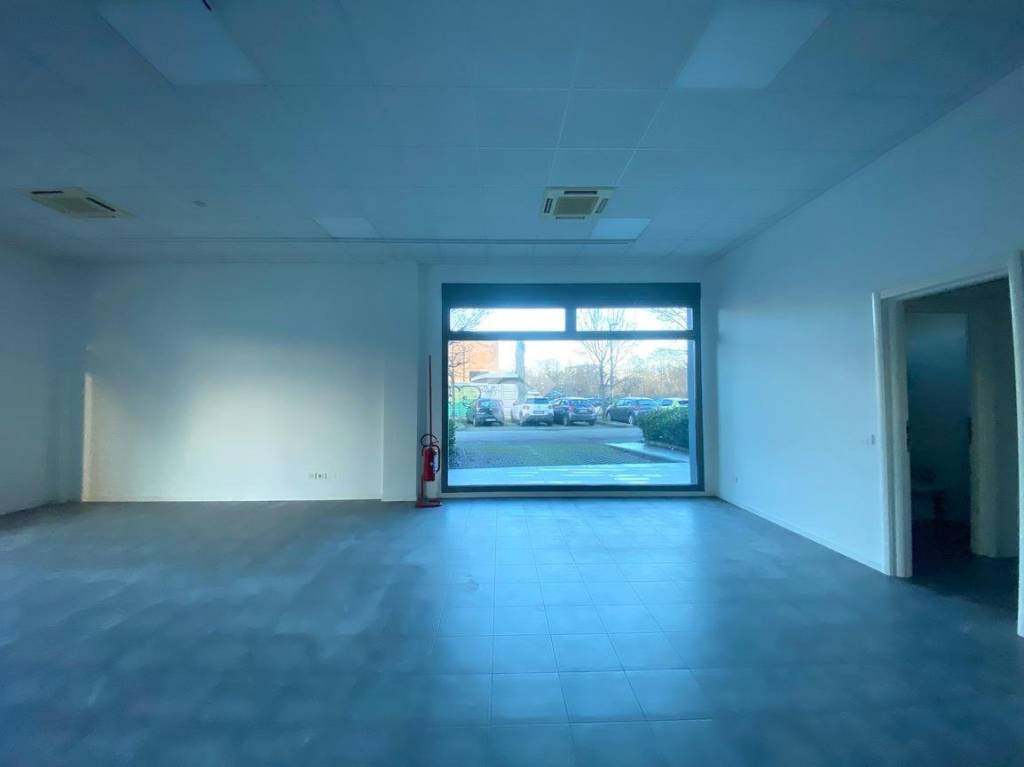 immagine annuncio 11 di 12