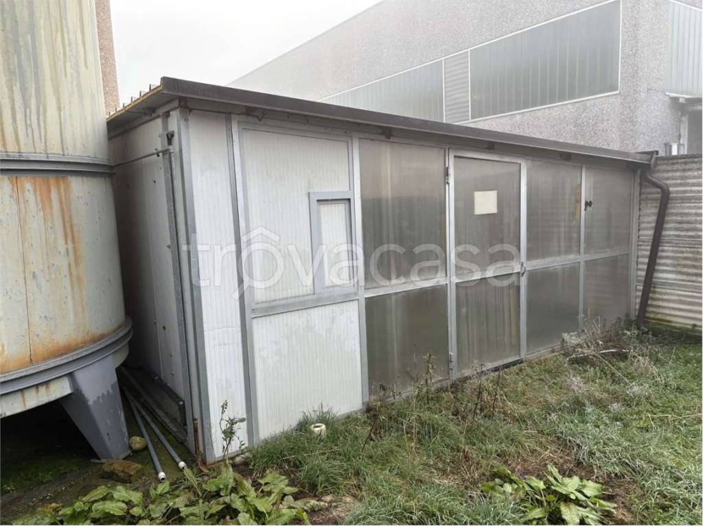 immagine annuncio 6 di 11