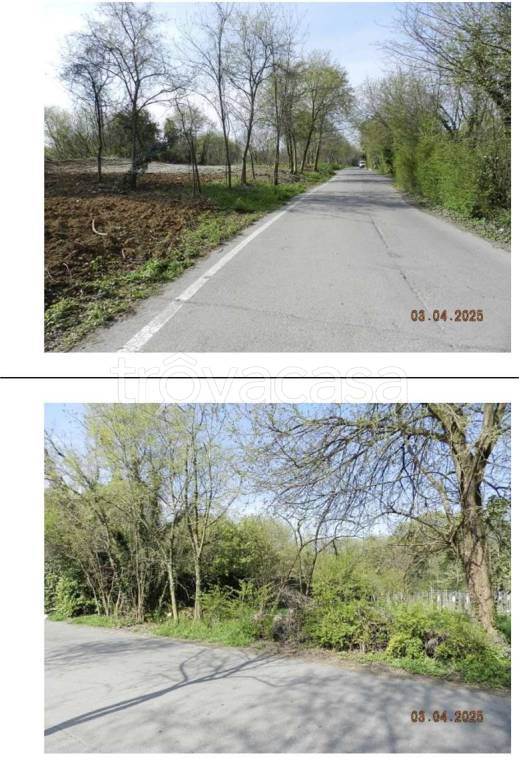 immagine annuncio 6 di 14