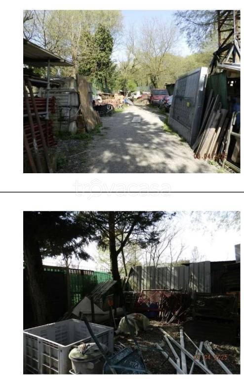 immagine annuncio 7 di 14