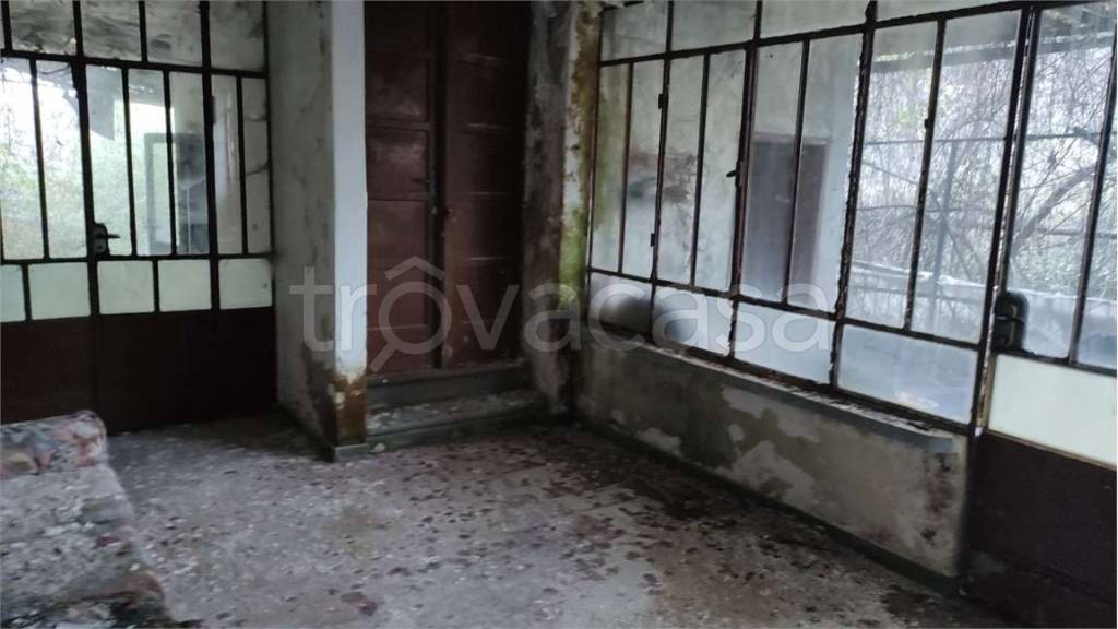 immagine annuncio 6 di 9