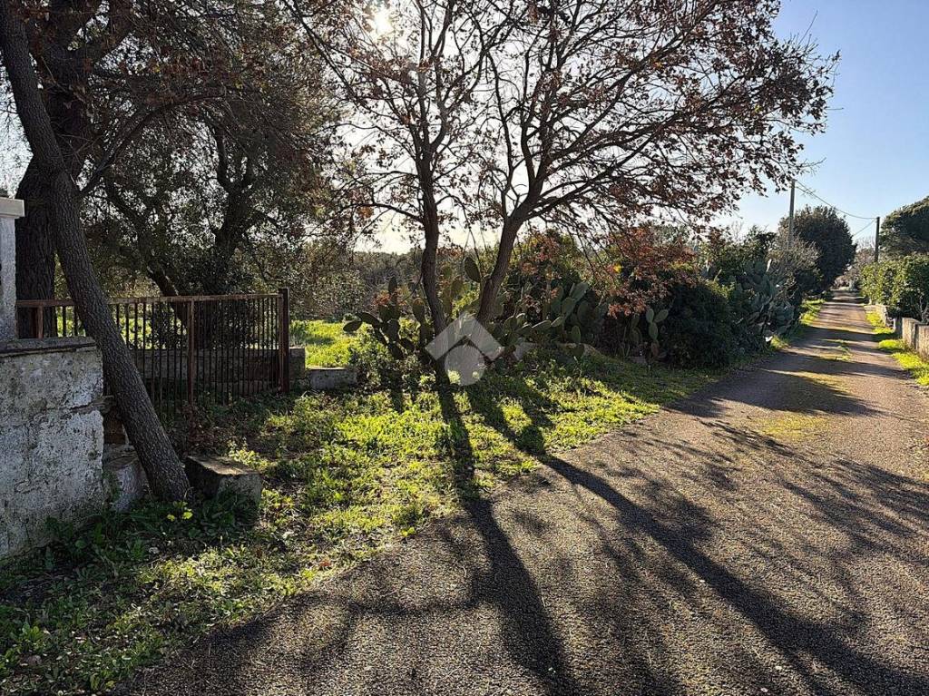 immagine annuncio 3 di 14